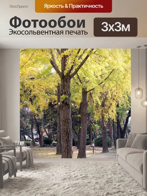 Фотообои Листья