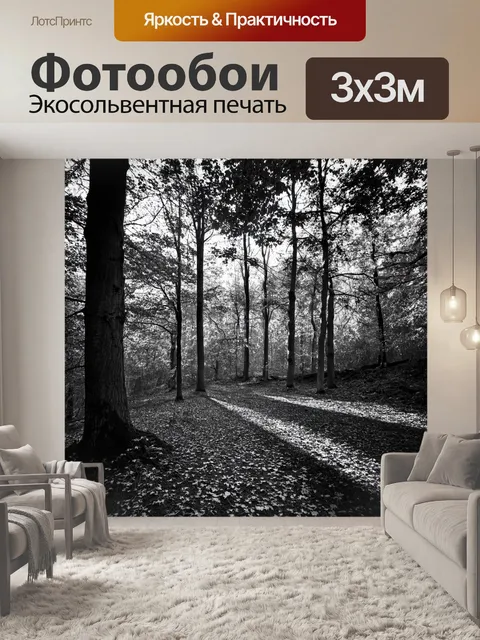 фотообои лес в стиле черно-белый: осенний лес с опавшими листьями