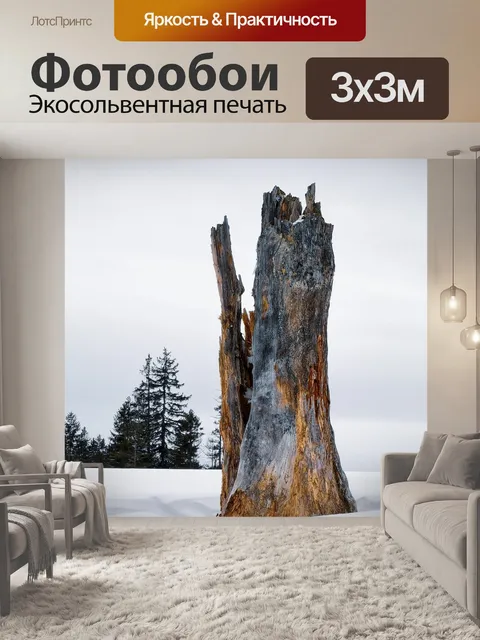 Фотообои Зима
