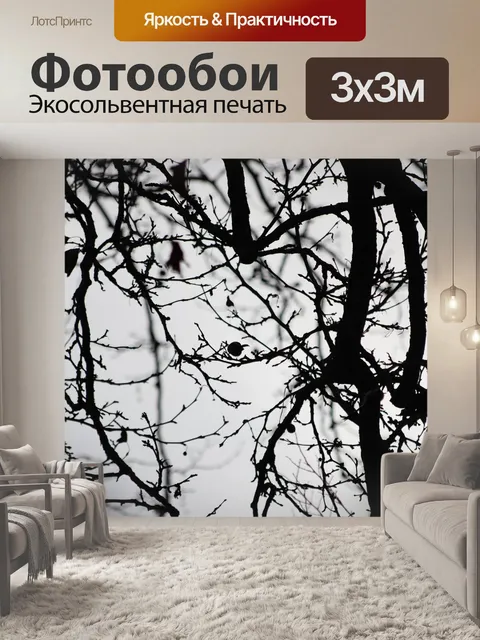 Фотообои Птица
