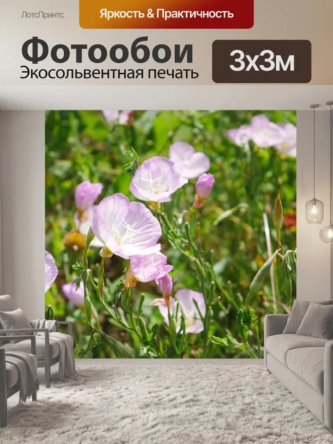 Фотообои Цветы