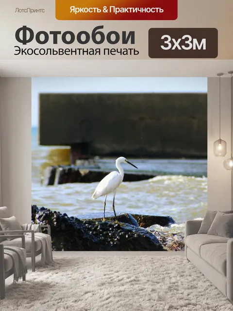 Фотообои Животное