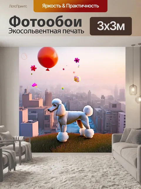 Фотообои пудель, стоящий на вершине холма с видом на город, утренний туман окутывает здания