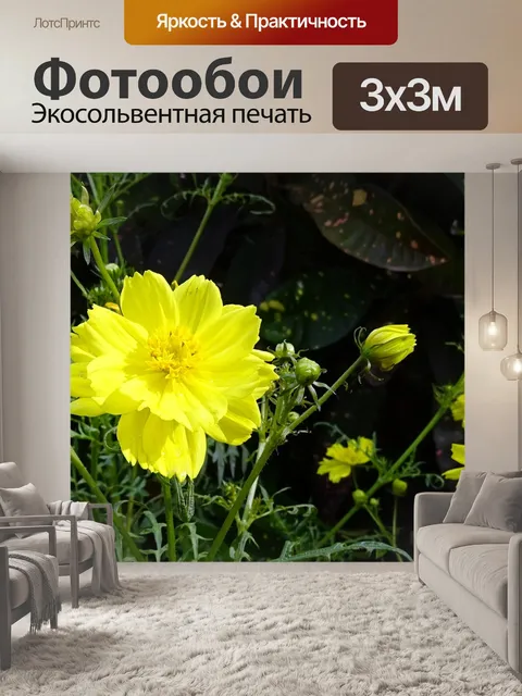 Фотообои Цветок