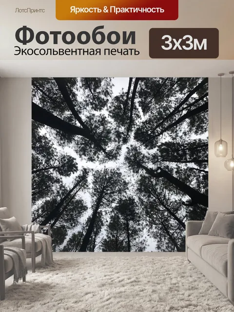 Фотообои Сосны