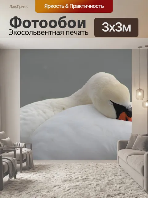 Фотообои Птица