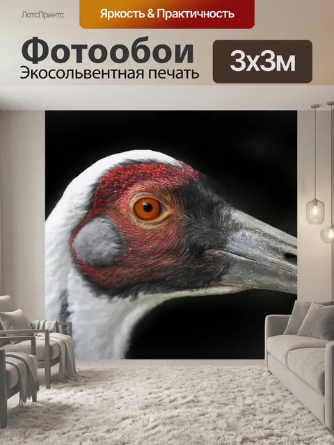 Фотообои Птица