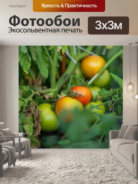 Фотообои Закат