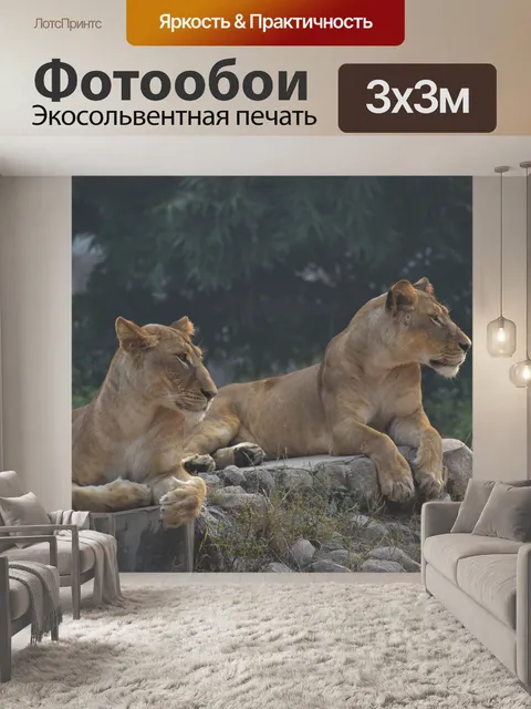 Фотообои Львы