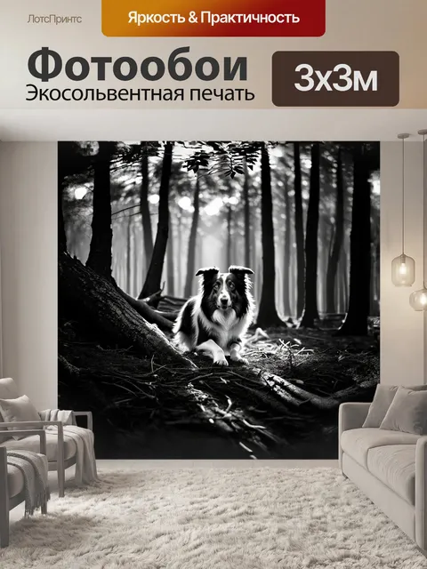 Фотообои в полутени векового леса