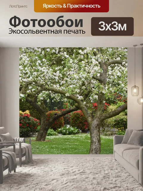 Фотообои Сад