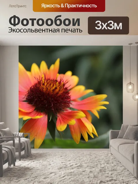 Фотообои Цветок