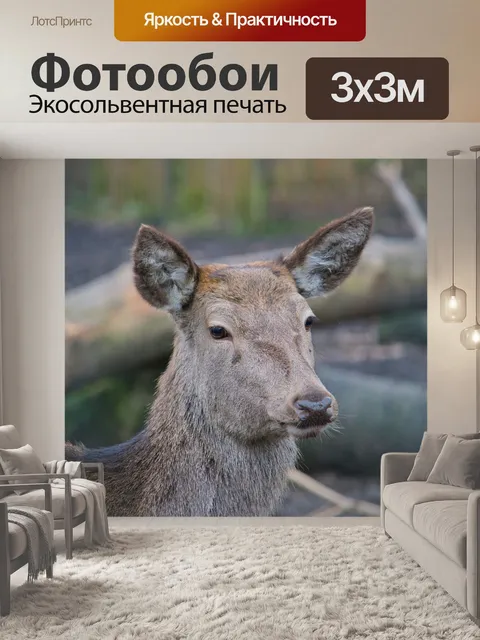 Фотообои Олень