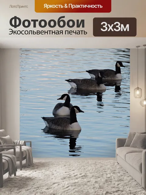 Фотообои Птицы