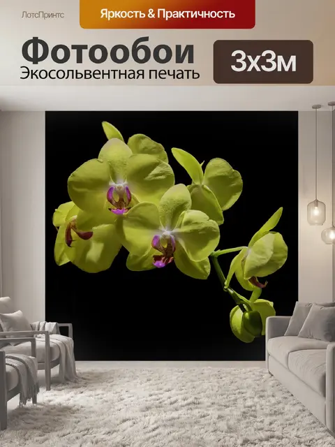 Фотообои Сад