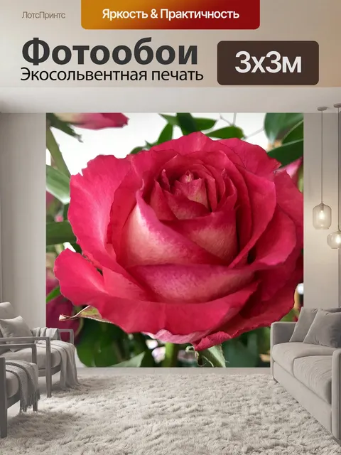 Фотообои Розы