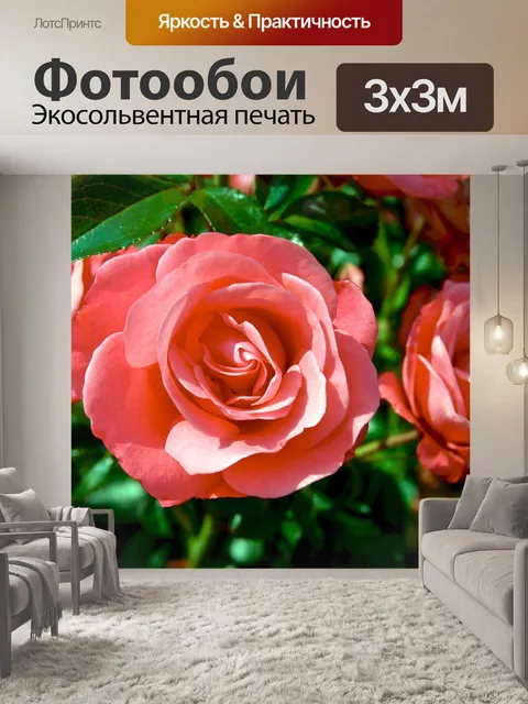 Фотообои Красивые цветущие розы в саду