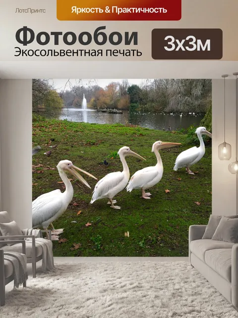 Фотообои Животные