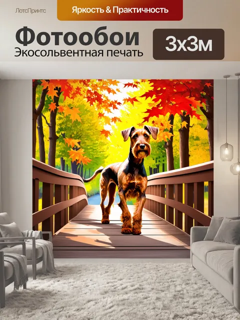 Фотообои ирландский терьер, стоящий на мосту, окруженном кленовыми деревьями, которые окрашиваются в осенние цвета