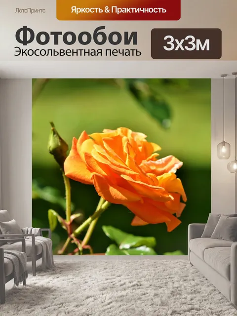 Фотообои Роза