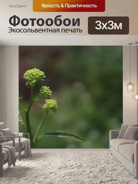 Фотообои Цветы