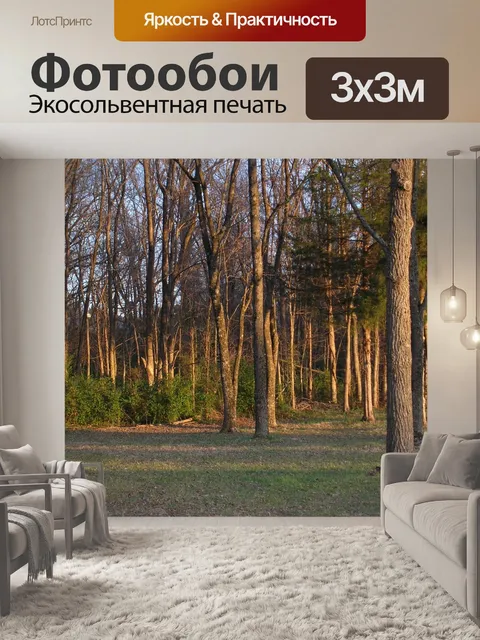 Фотообои Лес