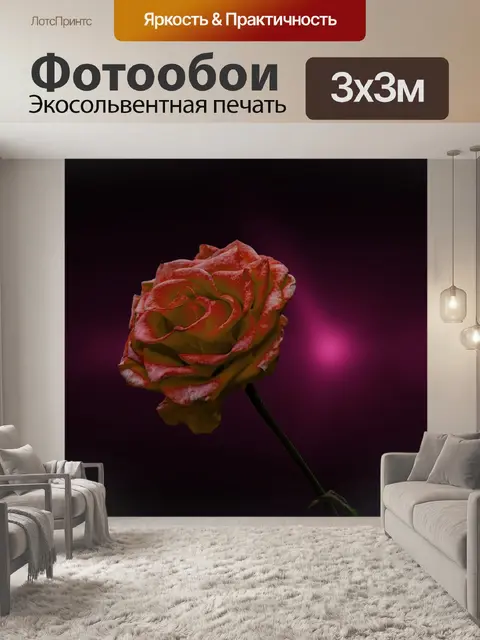 Фотообои Роза