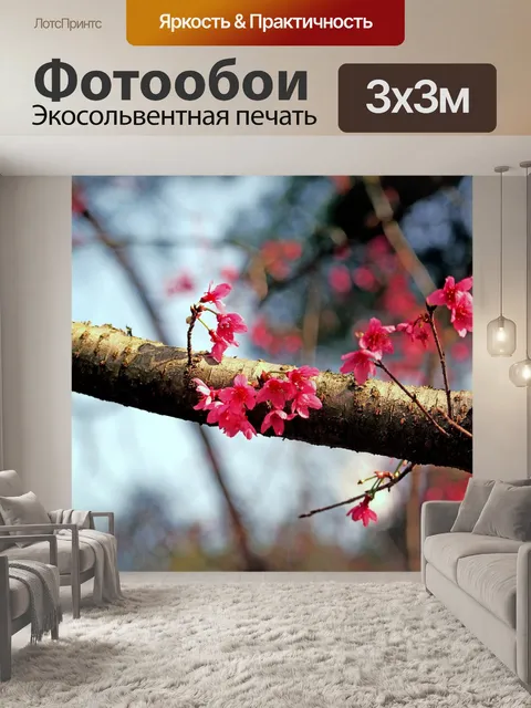 Фотообои Вишни
