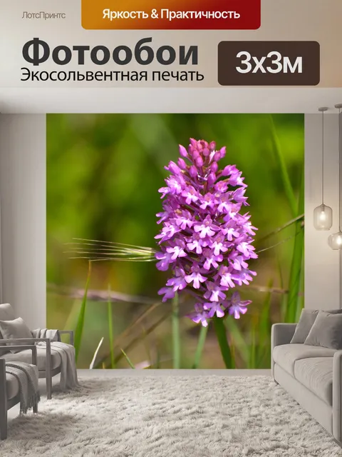 Фотообои Пешие прогулки