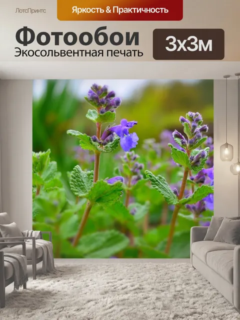 Фотообои Сад