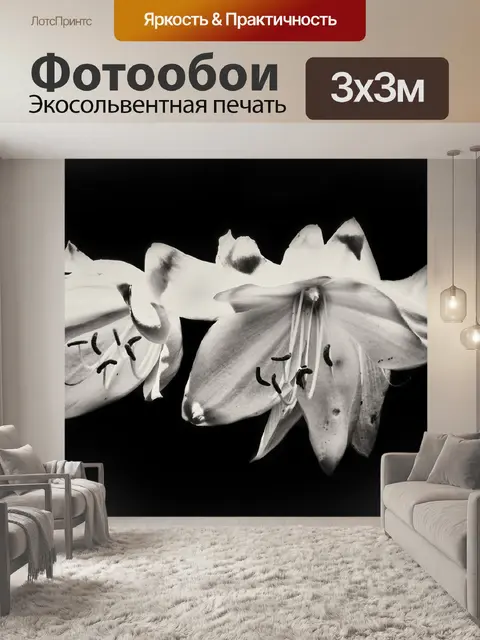 Фотообои Цветы