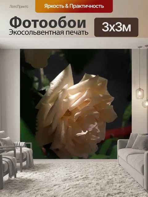 Фотообои Цветок