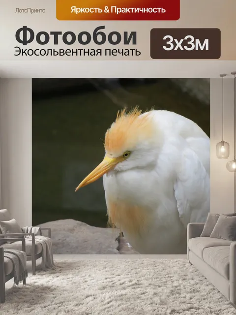 Фотообои Цапля