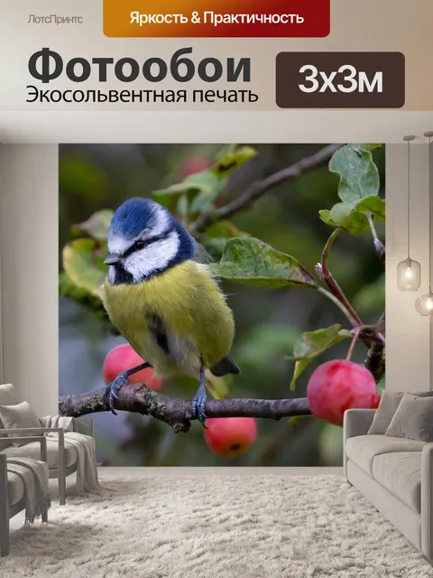 Фотообои Птица