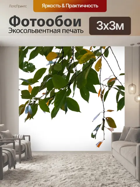 Фотообои Листья