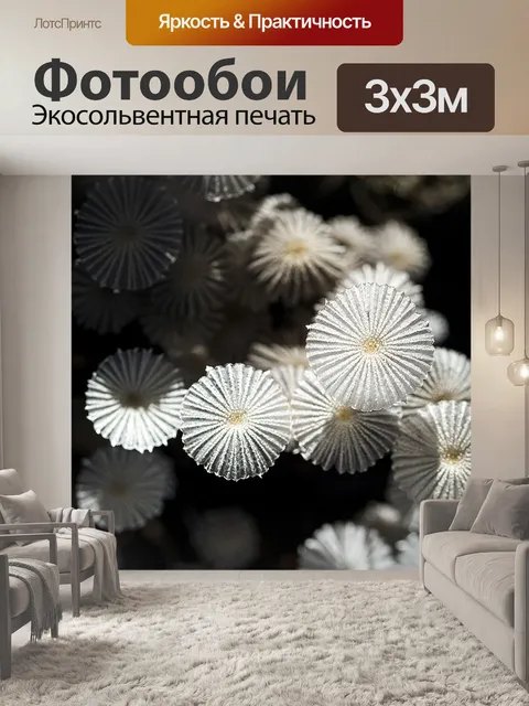Фотообои Грибы