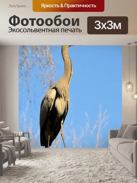 Фотообои Цапля