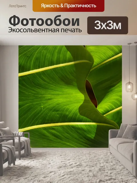 Фотообои Лист