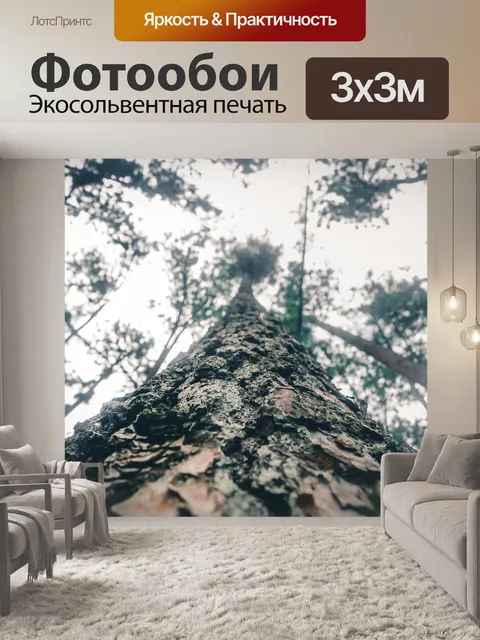 Фотообои Сосна дерево