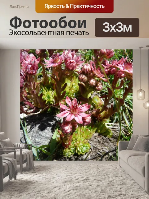 Фотообои Цветы