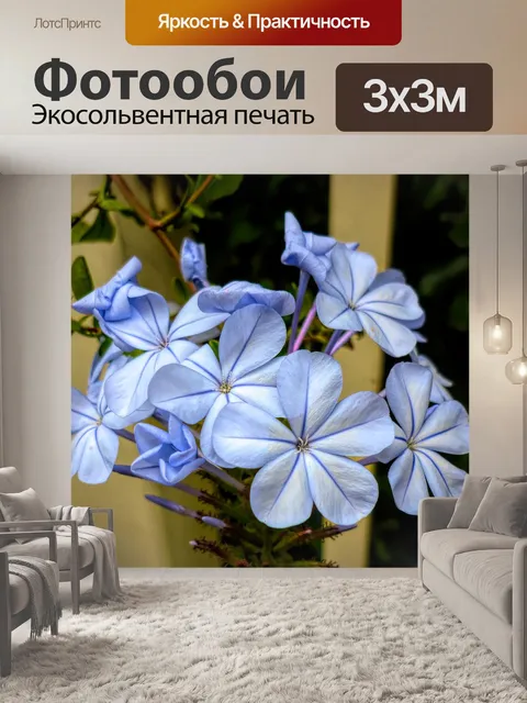 Фотообои Цветы