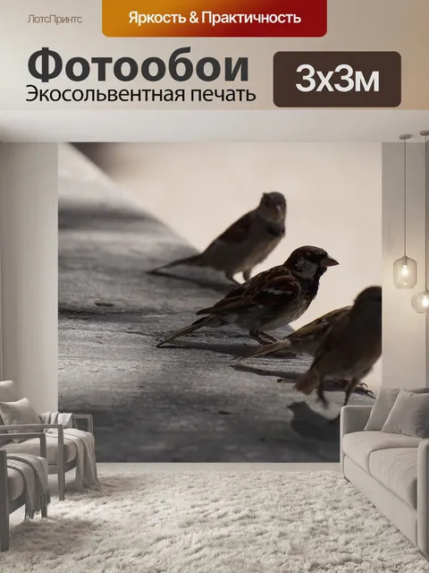 Фотообои Птица