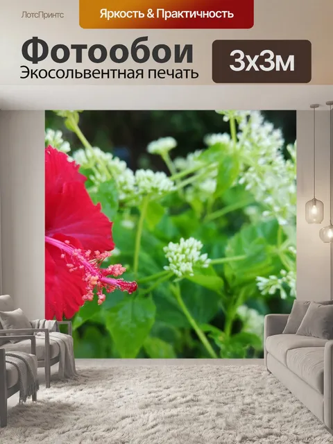 Фотообои Цветок