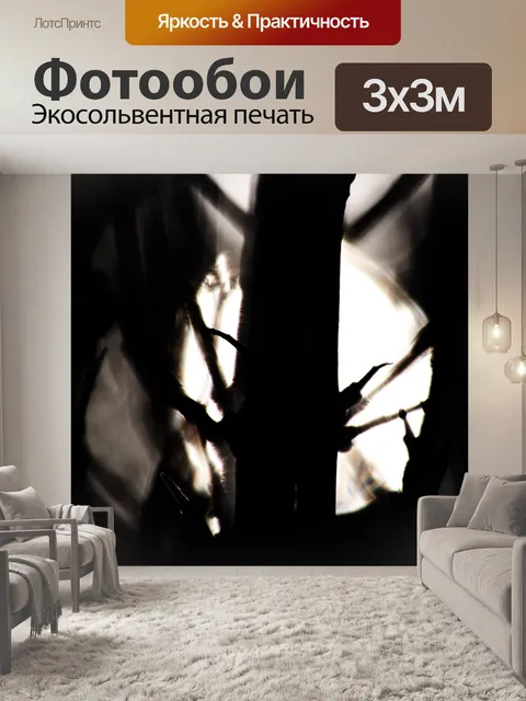 Фотообои яркий солнечный свет за стволами деревье