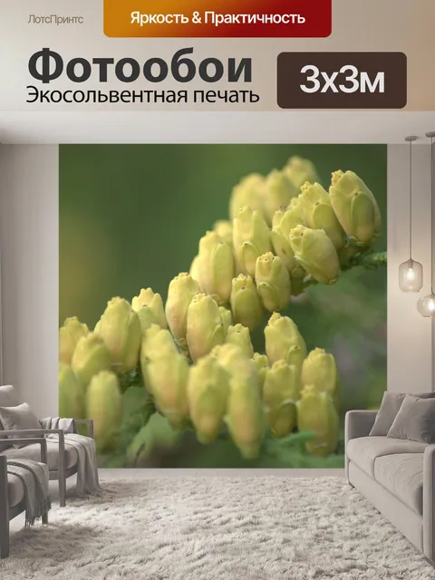 Фотообои Природа