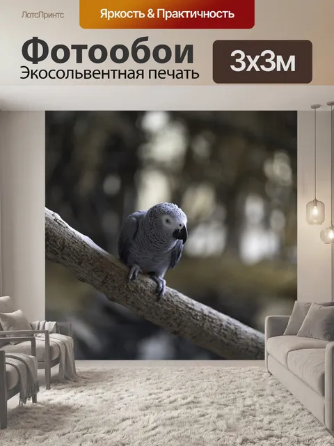 Фотообои Попугай