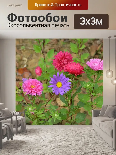 Фотообои Цветы