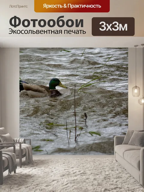 Фотообои Утка на озере