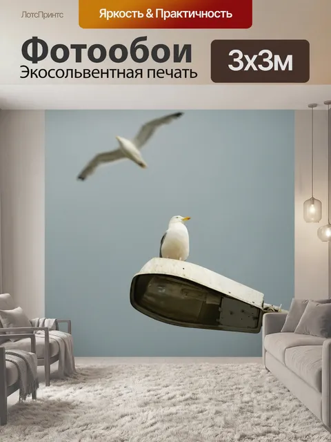 Фотообои Птица на фонарном столбе