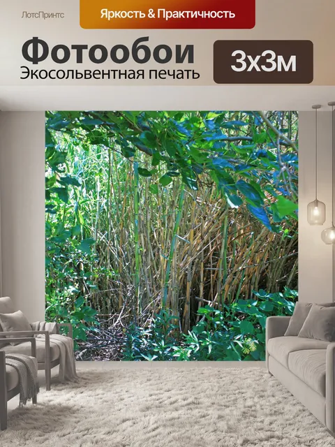 Фотообои камыш среди другой растительности
